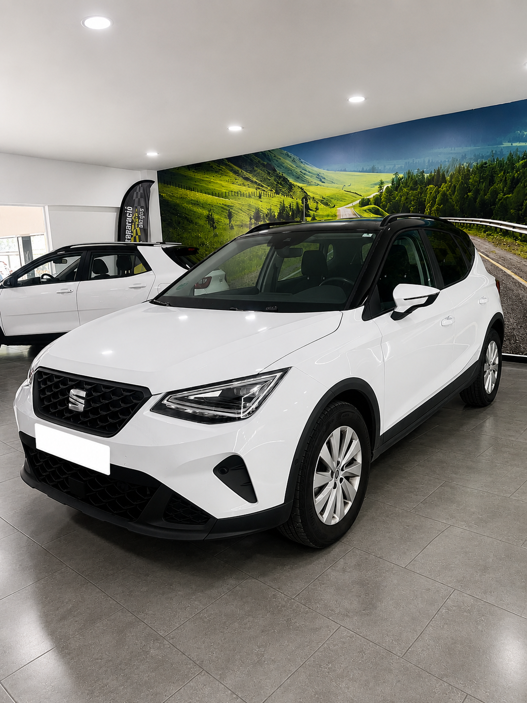SEAT ARONA